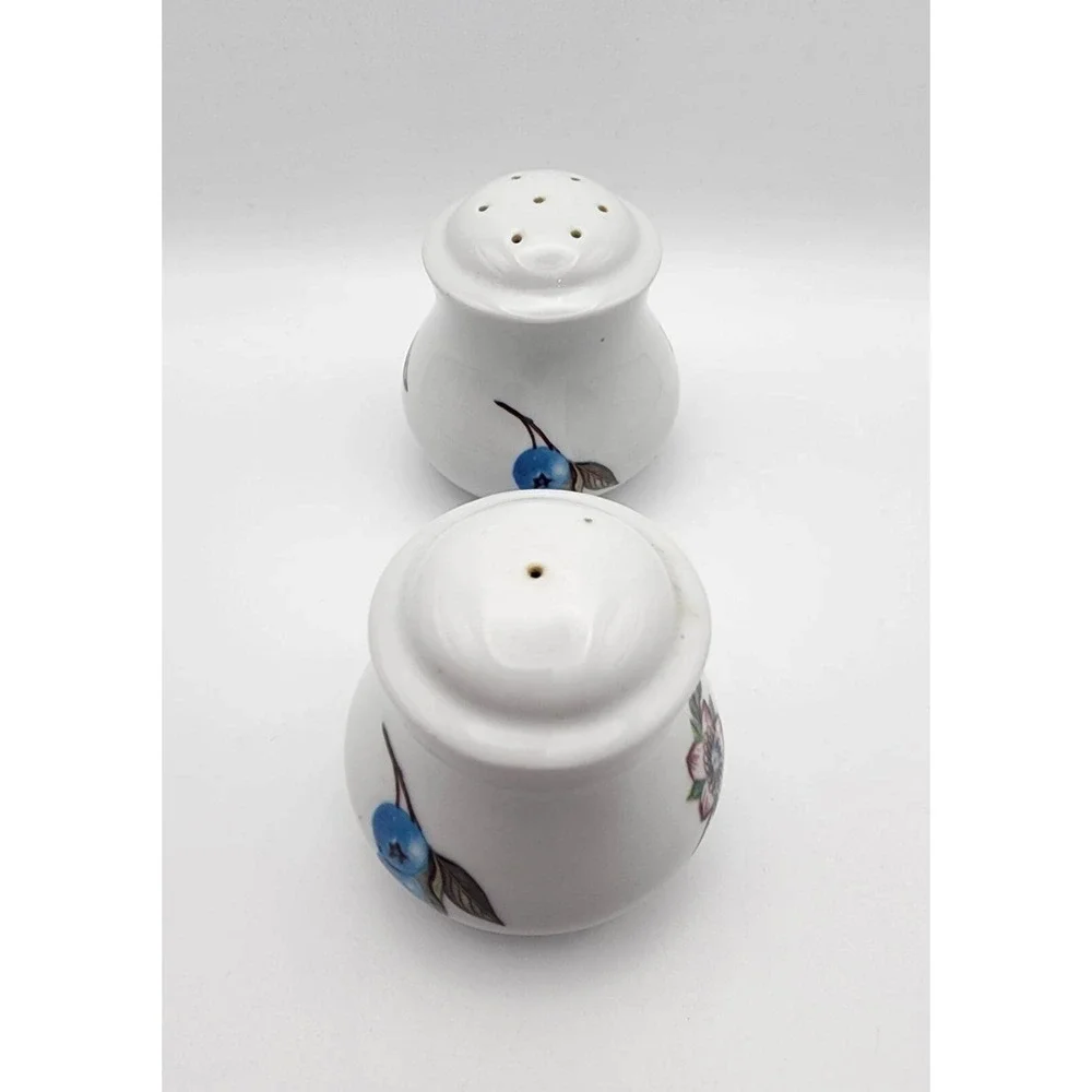 Vintage Ceramic Salt And‎ Pepper Shakers Hand Painted Blueberries Blooms China